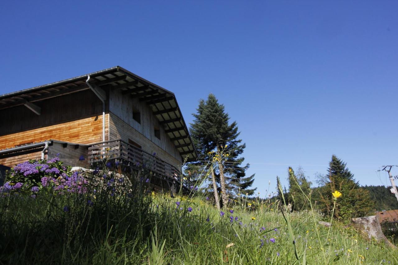 Bed and Breakfast Le Chalet De Valentine Ventron Exteriér fotografie
